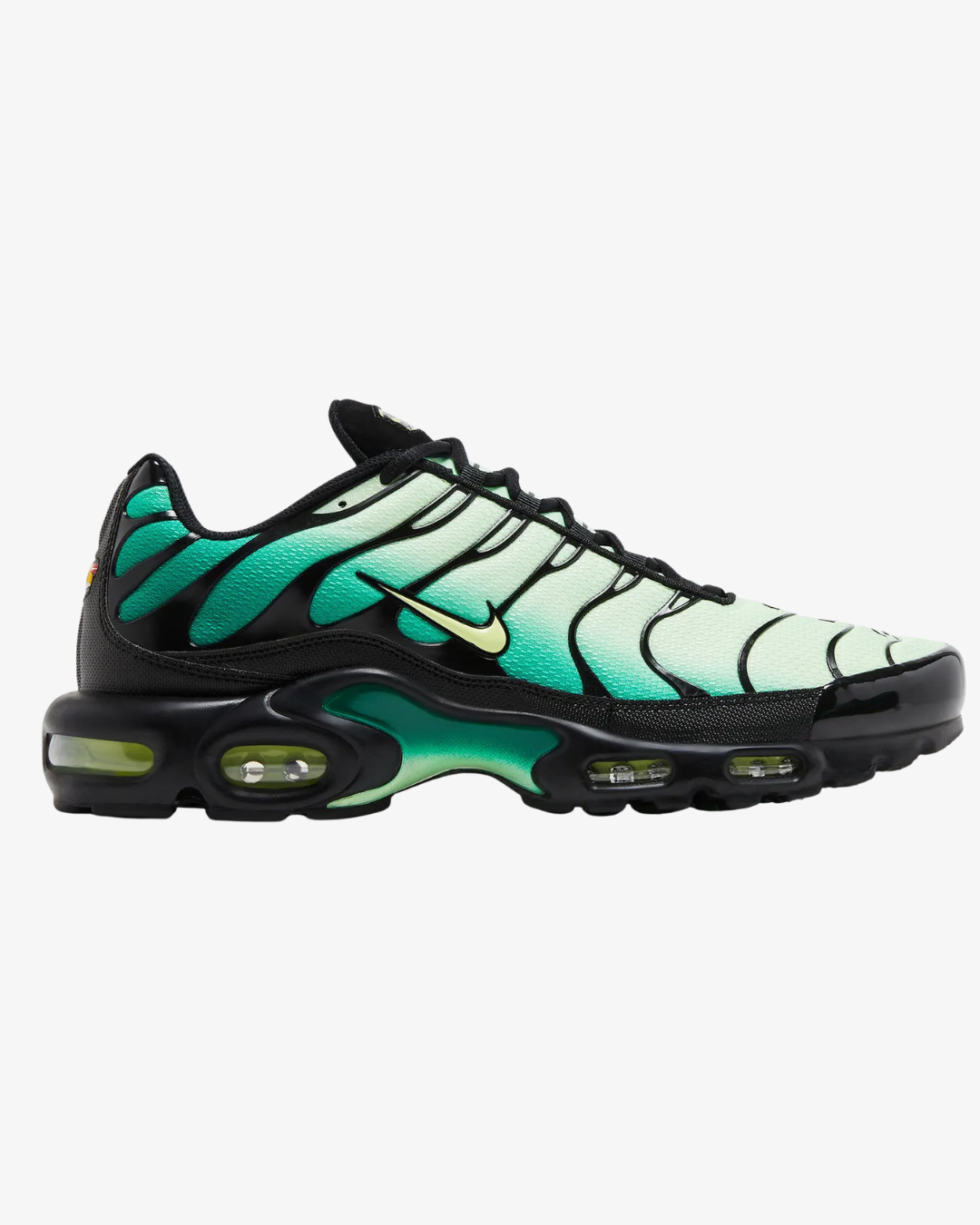 Nike Air Max Plus Vapor Green Gradient Nike