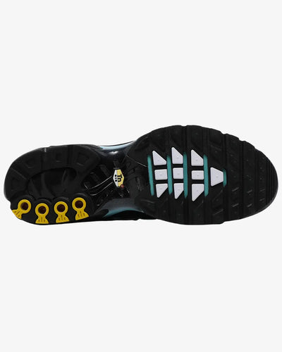 Nike Air Max Plus TN Aqua Silver Nike
