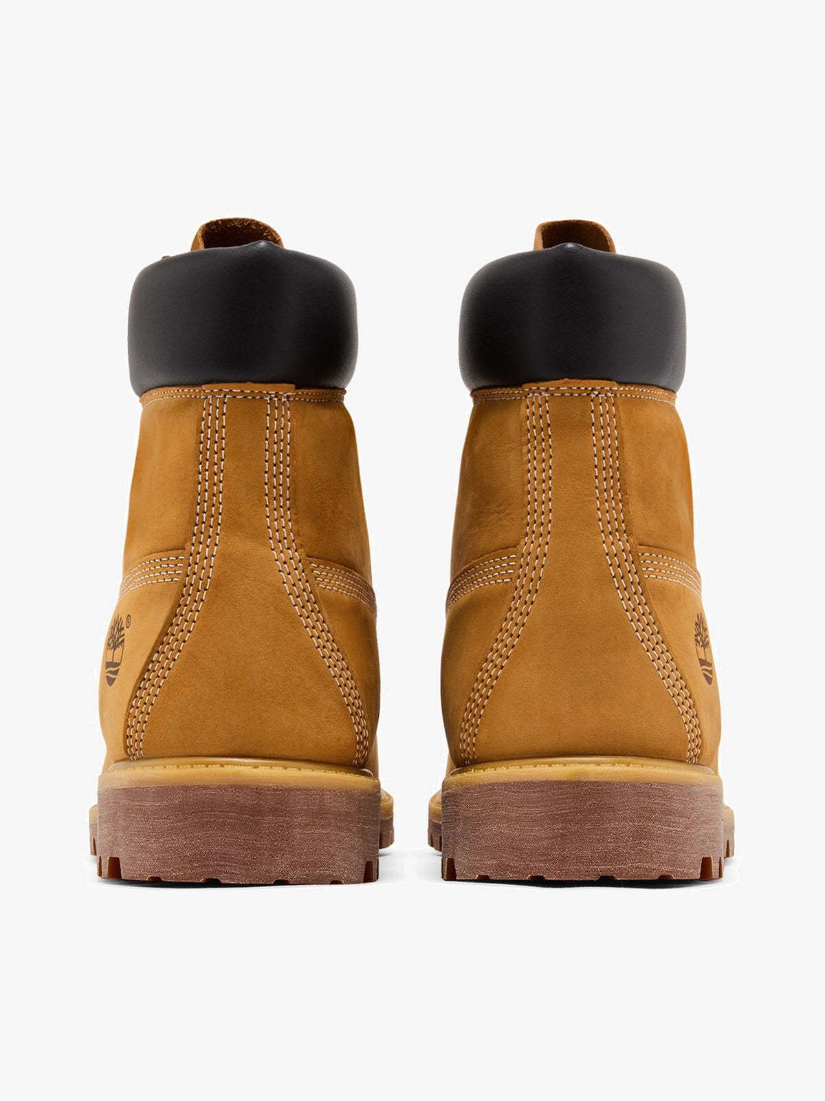 Timberland 6" Premium Waterproof Boot 'Wheat' – back
