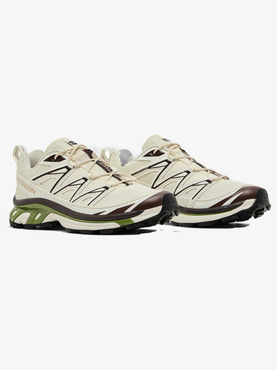 Salomon XT-6 Expanse 'Vanilla Ice Black Coffee' – pair